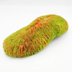 Blau - Aquaristic Kunstig koral Polyphyllia talpina (Green) 24x11x6 cm