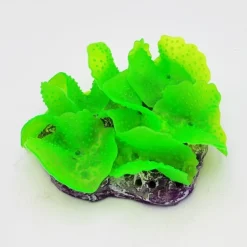 Blau - Aquaristic Kunstig koral Ulva lactuca (Green) 12x9x4 cm