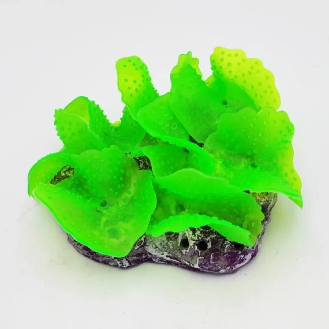 Blau - Aquaristic Kunstig koral Ulva lactuca (Green) 12x9x4 cm