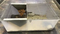 MiniZoo Labbur 4 (rottebur) brugt