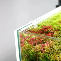 MiniZoo LED Lys Baggrund til akvariet 50x35x1 cm
