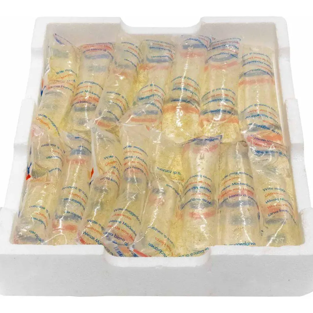 Levende foder til Akvariefisk Levende hvide myggelarver 90 ml (levende foder) 5 stk
