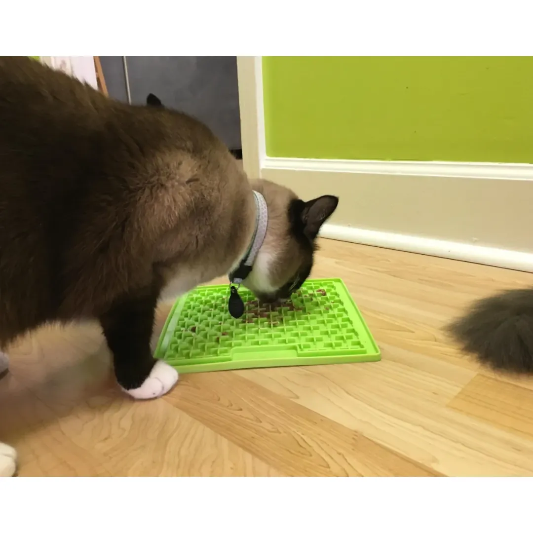 LickiMat Slikkemåtte 20 x 20 cm Orange - aktiveringsmåtte til hunde