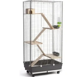 MiniZoo Mary Charme gnaverbur til fritter og chinchilla