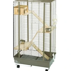 MiniZoo Mary Charme gnaverbur til fritter og chinchilla