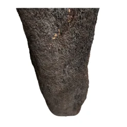 MiniZoo .dk Xaxim Træstamme Ø 30-40 cm XXL ca 1 meter
