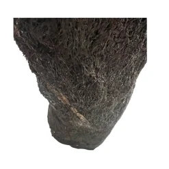 MiniZoo .dk Xaxim Træstamme Ø 30-40 cm XXL ca 1 meter