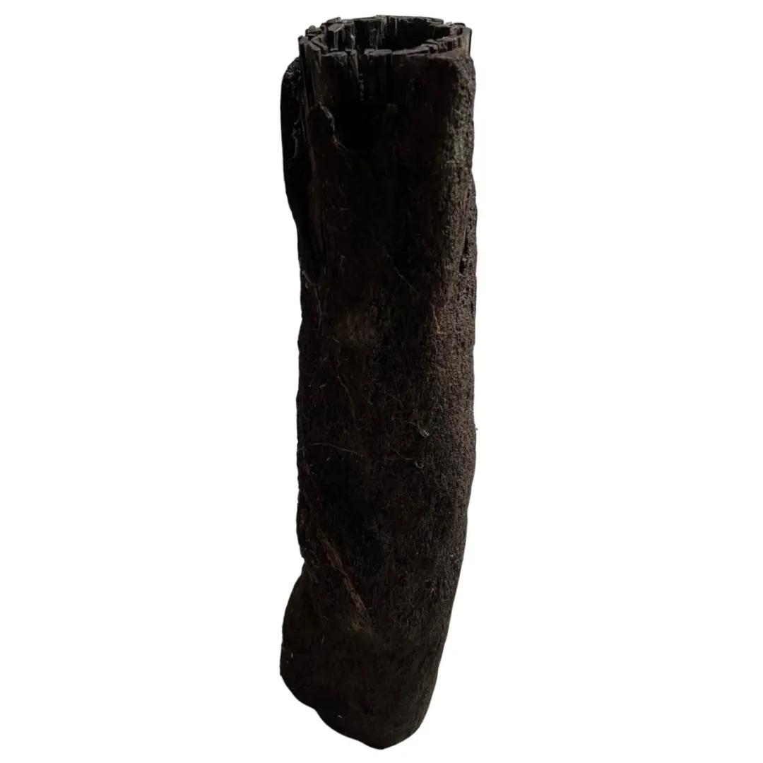 MiniZoo .dk Xaxim Træstamme Ø 30-40 cm XXL ca 1 meter