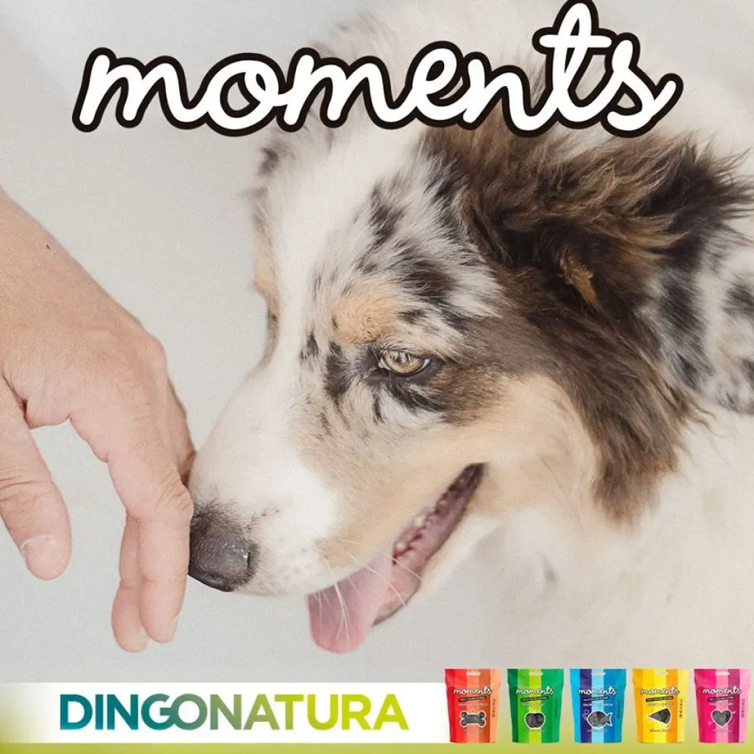 Natura Diet Super premium Hunde & kattefoder Moments hundesnack Iberisk skinke 60 g - naturlige hundegodbidder