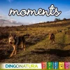Natura Diet Super premium Hunde & kattefoder Moments hundesnack Kylling og Ost 60 g - naturlige hundegodbidder