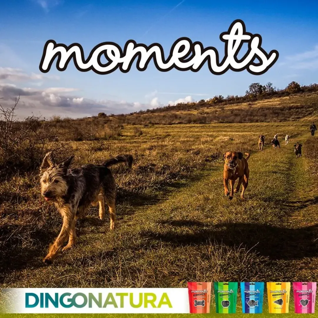 Natura Diet Super premium Hunde & kattefoder Moments hundesnack Kylling og Ost 60 g - naturlige hundegodbidder