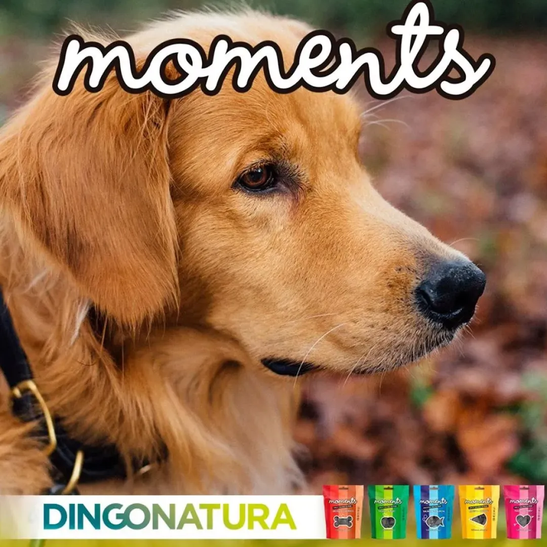 Natura Diet Super premium Hunde & kattefoder Moments hundesnack Kylling og Ost 60 g - naturlige hundegodbidder