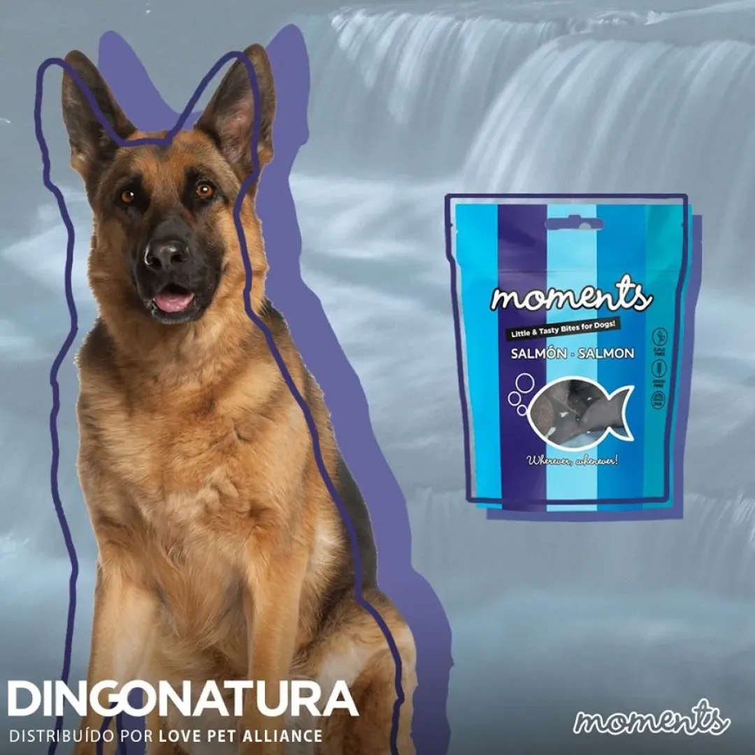 Natura Diet Super premium Hunde & kattefoder Moments hundesnack Laks 60 g - fuldfoder hundesnacks