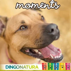 Natura Diet Super premium Hunde & kattefoder Moments hundesnack Laks 60 g - fuldfoder hundesnacks