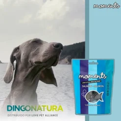 Natura Diet Super premium Hunde & kattefoder Moments hundesnack Laks 60 g - fuldfoder hundesnacks