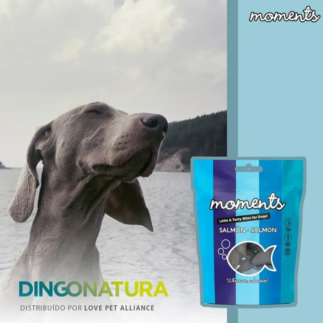 Natura Diet Super premium Hunde & kattefoder Moments hundesnack Laks 60 g - fuldfoder hundesnacks