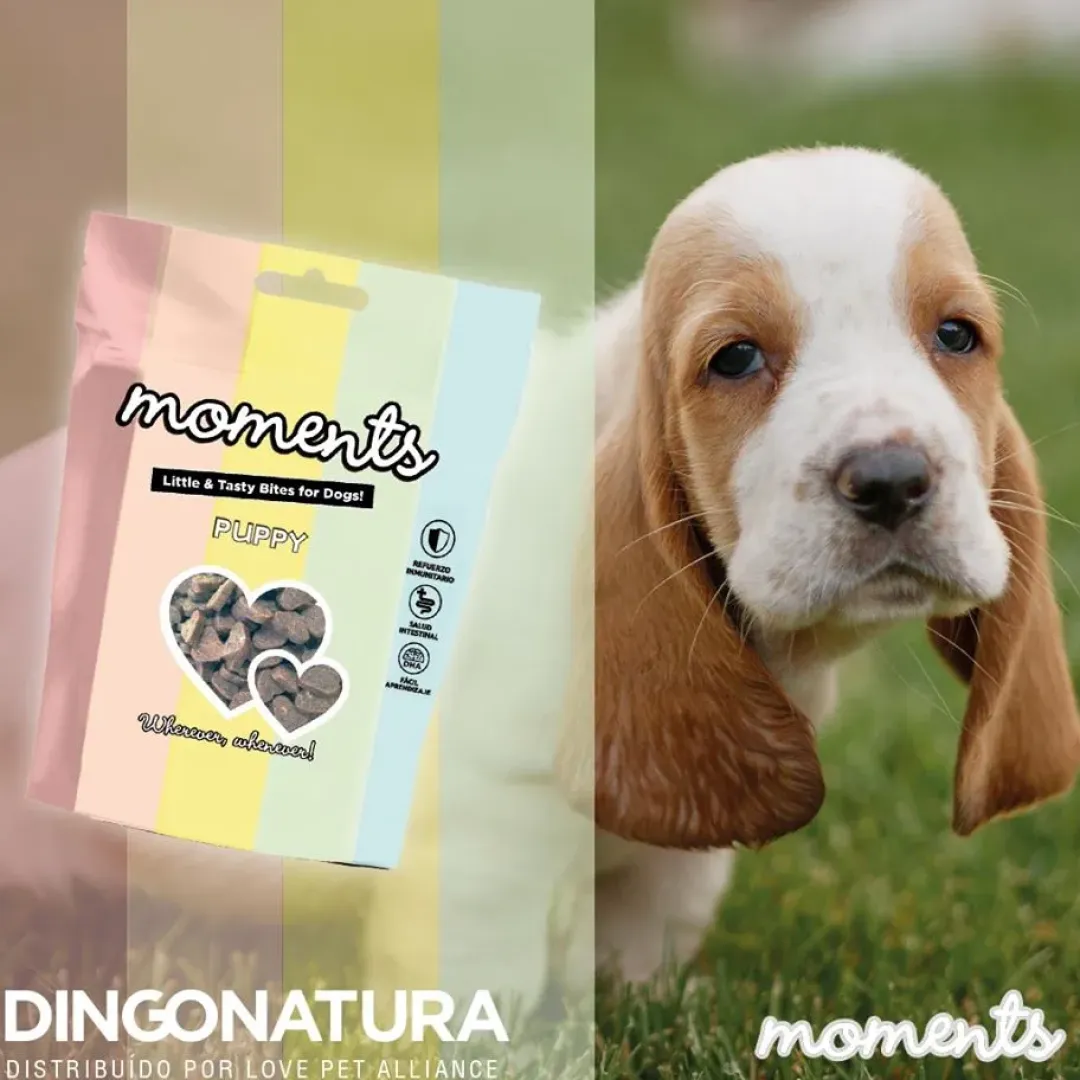 Natura Diet Super premium Hunde & kattefoder Moments hundesnack Puppy 60 g - blød træning til hvalpe