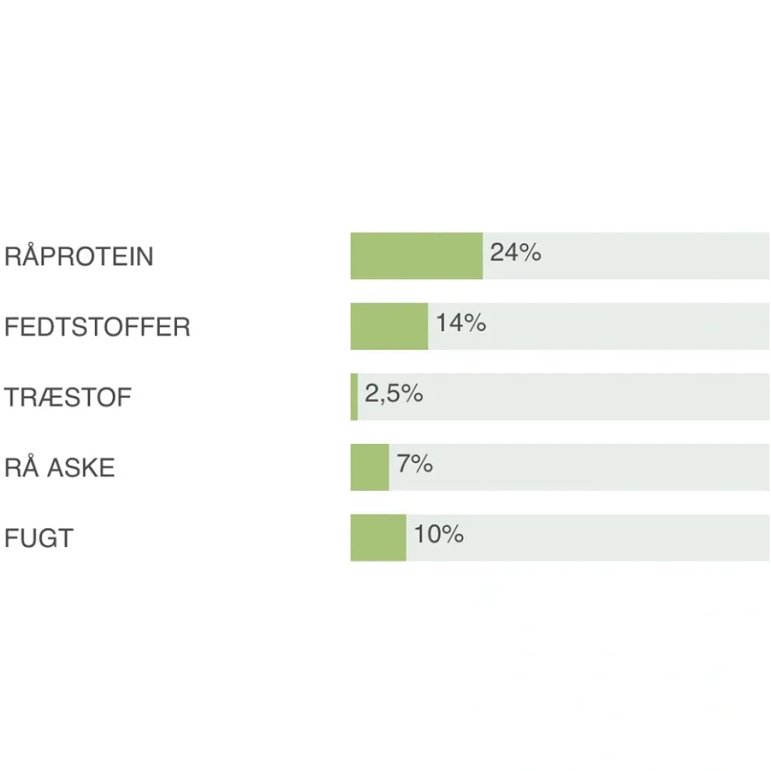 Natura Diet Super premium Hunde & kattefoder Natura Diet Lam og Ris Hundefoder 3 kg - Sundt og nærende til små og mellemstore hunde