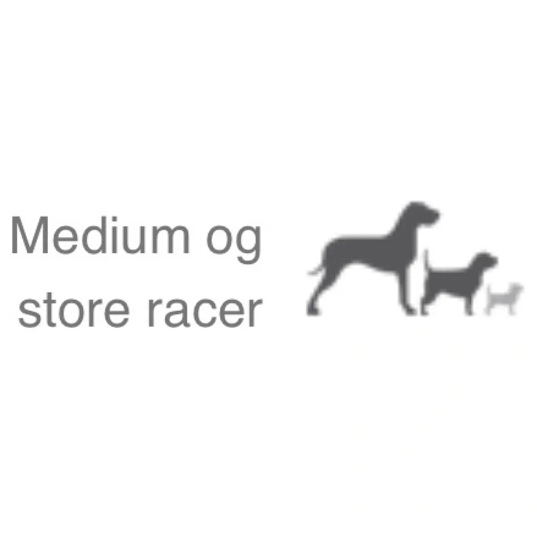 Natura Diet Super premium Hunde & kattefoder Natura Diet Lam og Ris Hundefoder 3 kg - Sundt og nærende til små og mellemstore hunde