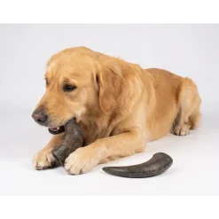 Flamingo NATURE Snack Horn Small 2pcs Naturlige tyggeben til hunde