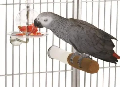 MiniZoo Papegøje Snackbar no 735