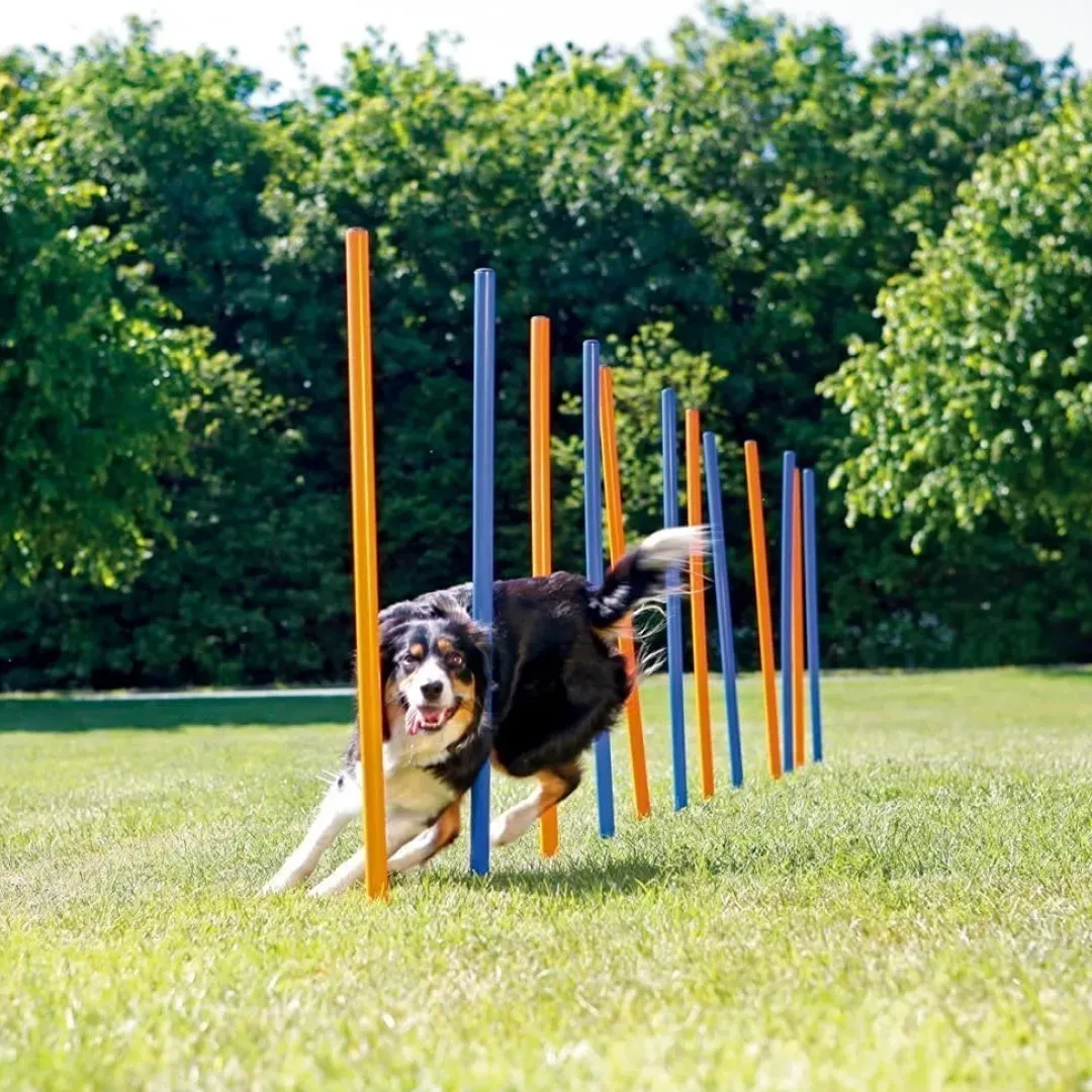 Pawise Hunde Agility Slalom 12 stk pæle - sjov hundetræning