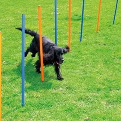 Pawise Hunde Agility Slalom 12 stk pæle - sjov hundetræning