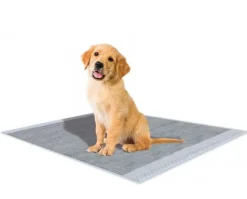 Pawise Hvalpeunderlag med Carbon 60 x 60 cm