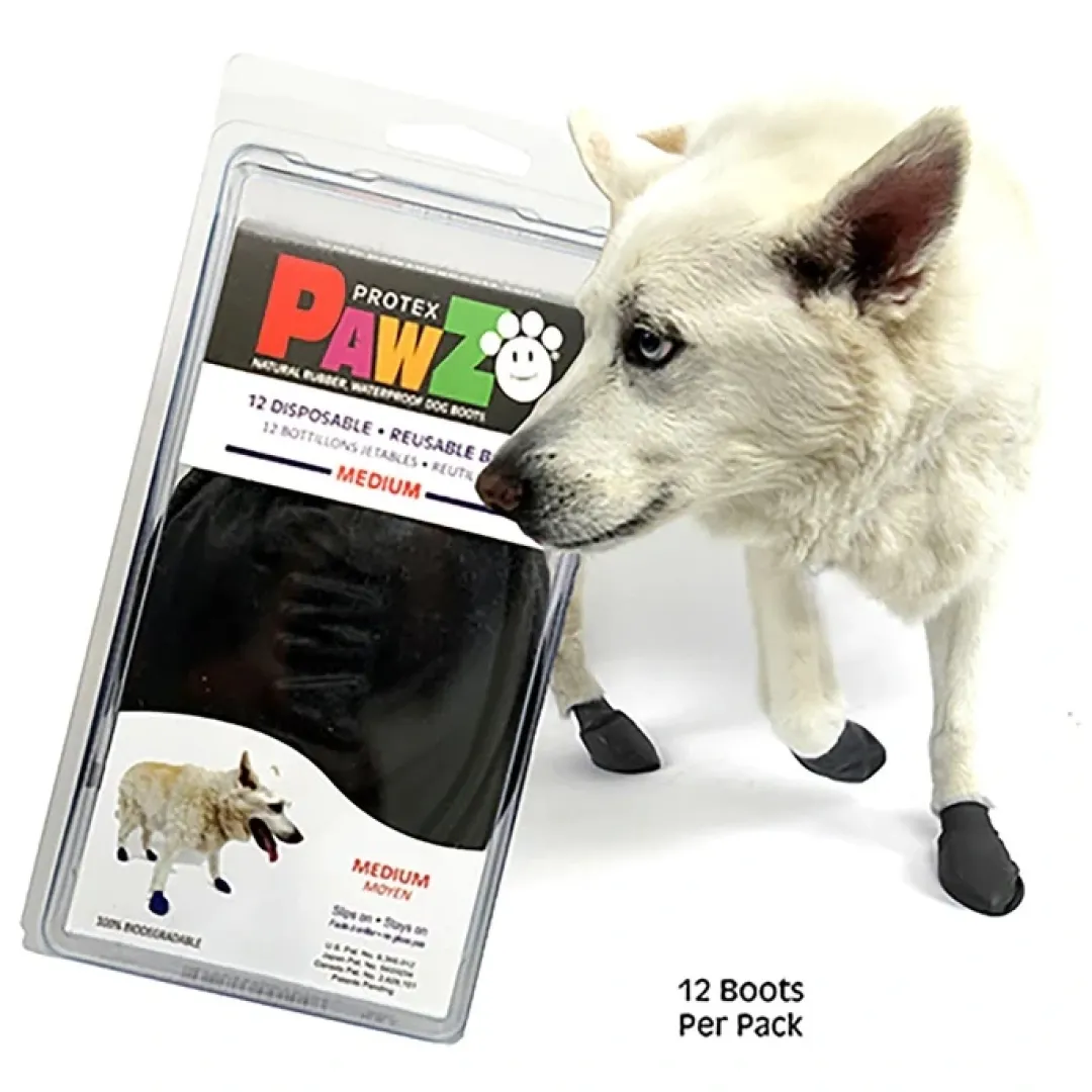 Pawz Hundesko Medium 7,6 cm sort