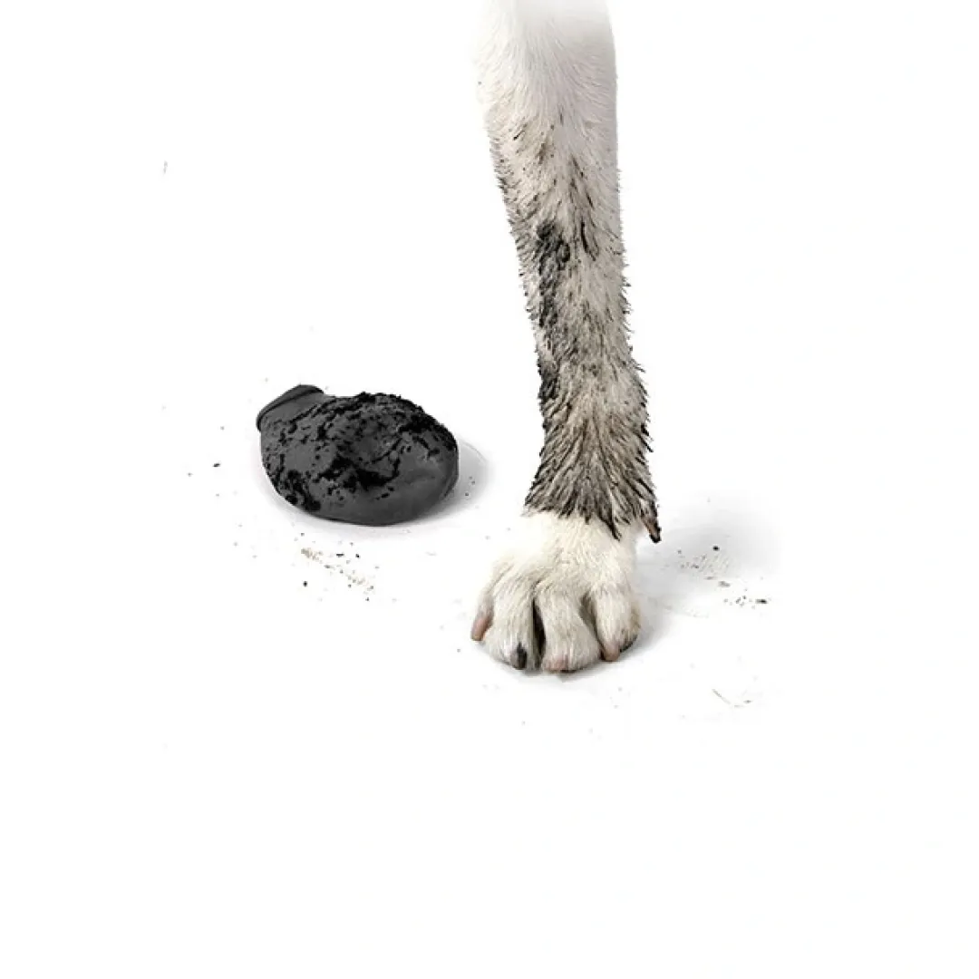 Pawz Hundesko Tiny 2,5 cm sort