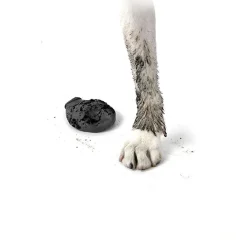 Pawz Hundesko XX-Small 3,8 cm sort