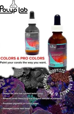 Polyplab Polylab Colors 50 ml