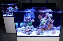 RedSea Red Sea Akvarium Max E-260 Hvid