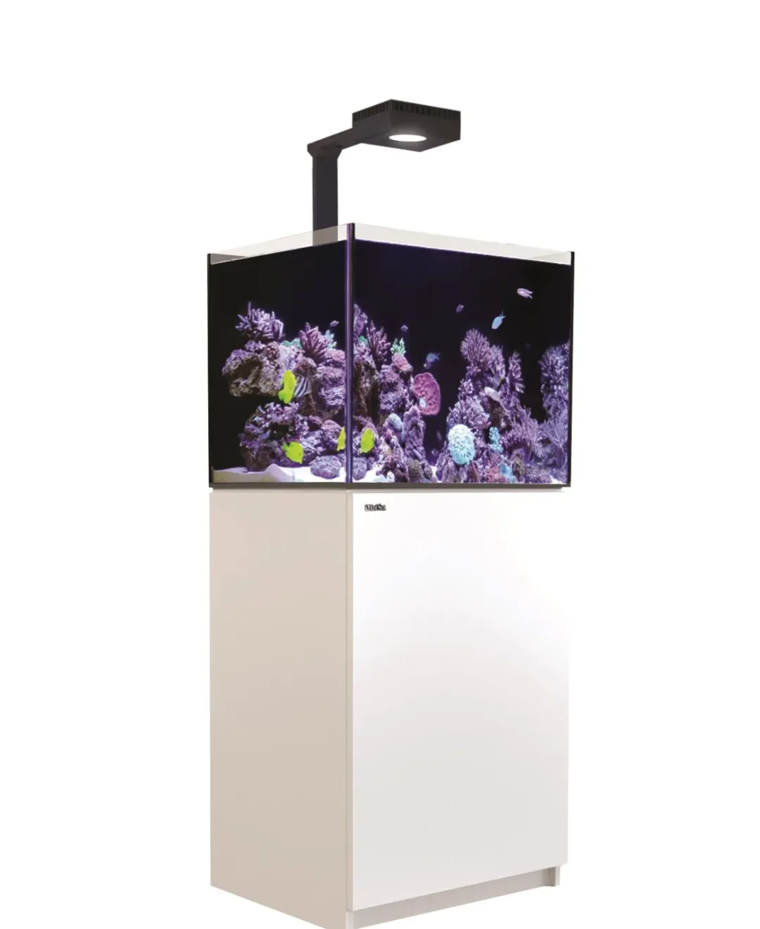 RedSea Red Sea Akvarium Reefer Deluxe Hvid 170
