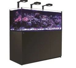 RedSea Red Sea Akvarium Reefer Deluxe XXL Sort 625