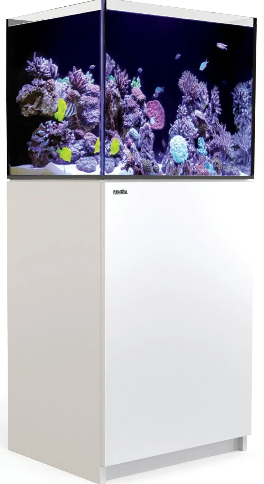 RedSea Red Sea Akvarium Reefer Hvid 170 G2