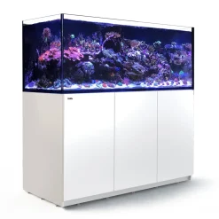 RedSea Red Sea Akvarium Reefer Hvid XXL 625 V3