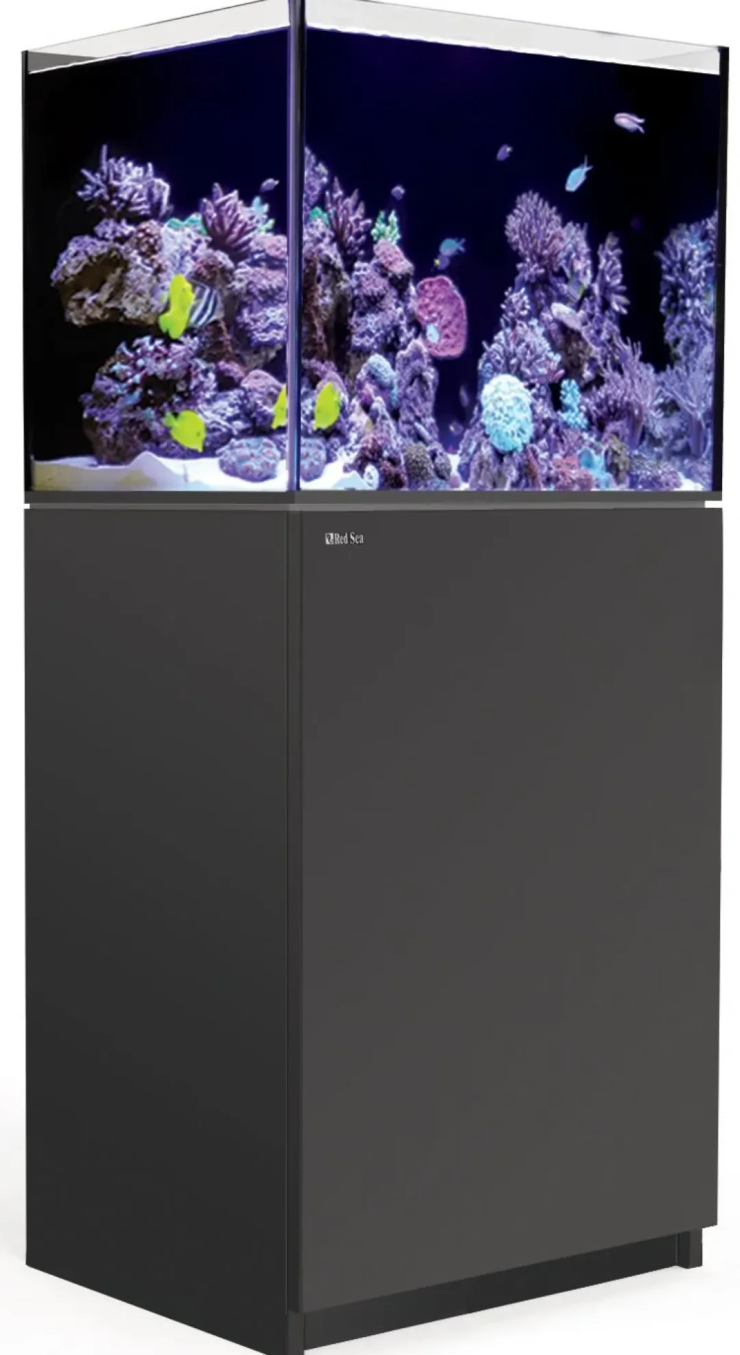 RedSea Red Sea Akvarium Reefer Sort 170 V3