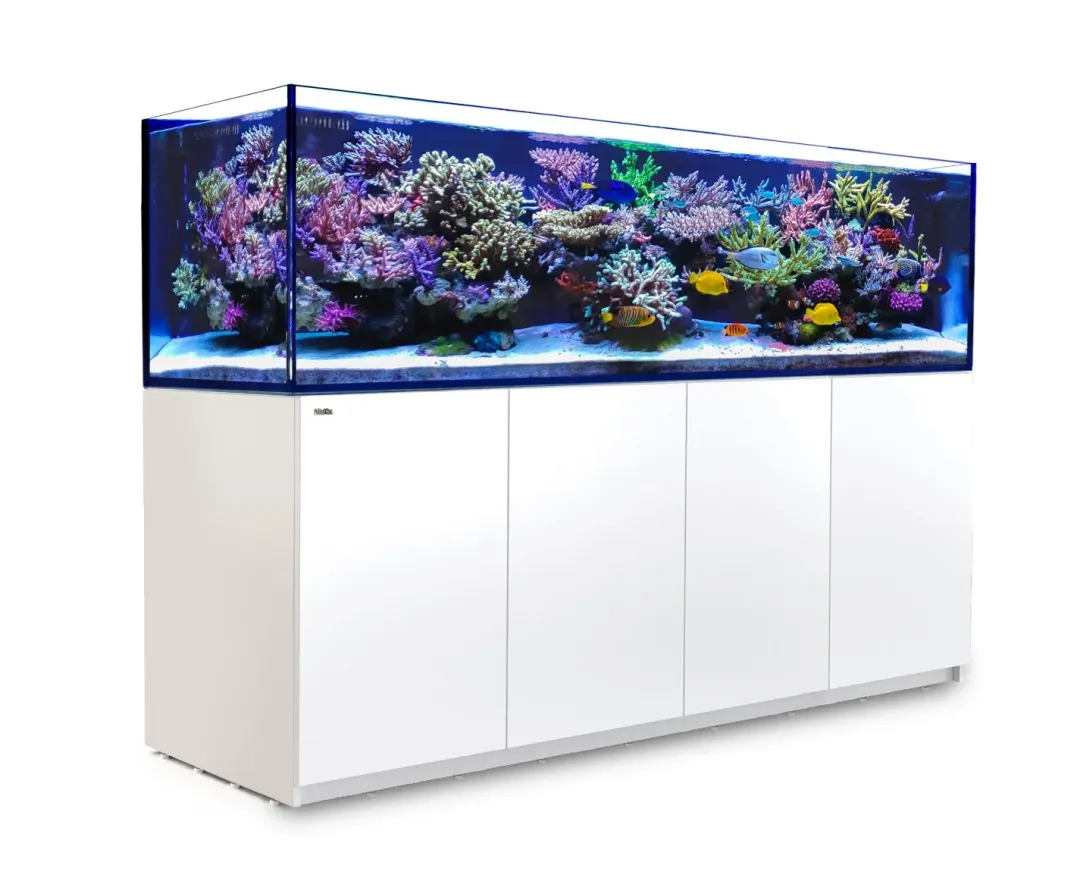 RedSea Red Sea Akvarium Reefer 3XL 900 Hvid