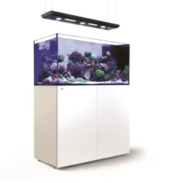 RedSea Red Sea Akvarium sæt Peninsula P500 Deluxe Hvid