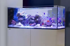 RedSea Red Sea Akvarium sæt Peninsula P500 Deluxe Hvid