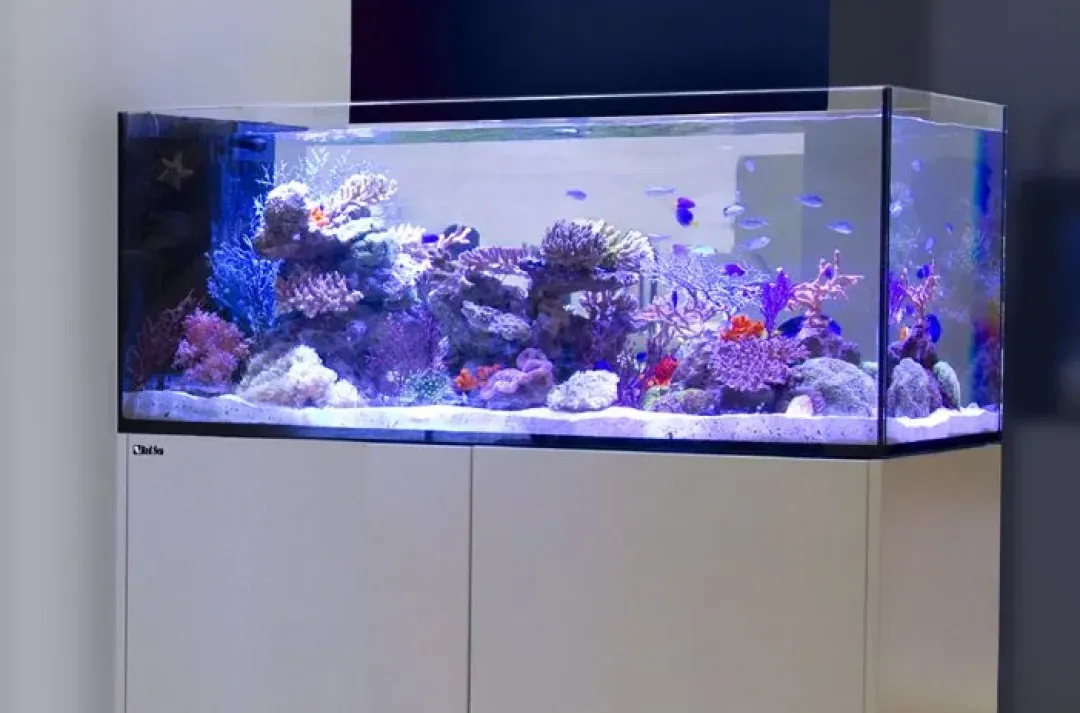 RedSea Red Sea Akvarium sæt Peninsula P500 Deluxe Hvid