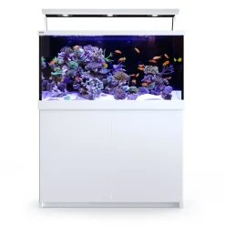 RedSea Red Sea MAX S-500 Liter Hvid G2