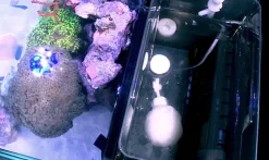 RedSea Red Sea Nano Max Complete Reef System Sort G2