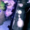 RedSea Red Sea Nano Max Complete Reef System Hvidt G2