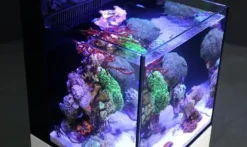 RedSea Red Sea Nano Max Complete Reef System Hvidt G2