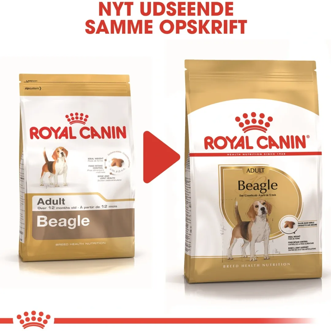 Royal Canin Hundefoder Royal Canin Beagle Adult 12 kg - tørfoder til voksne hunde
