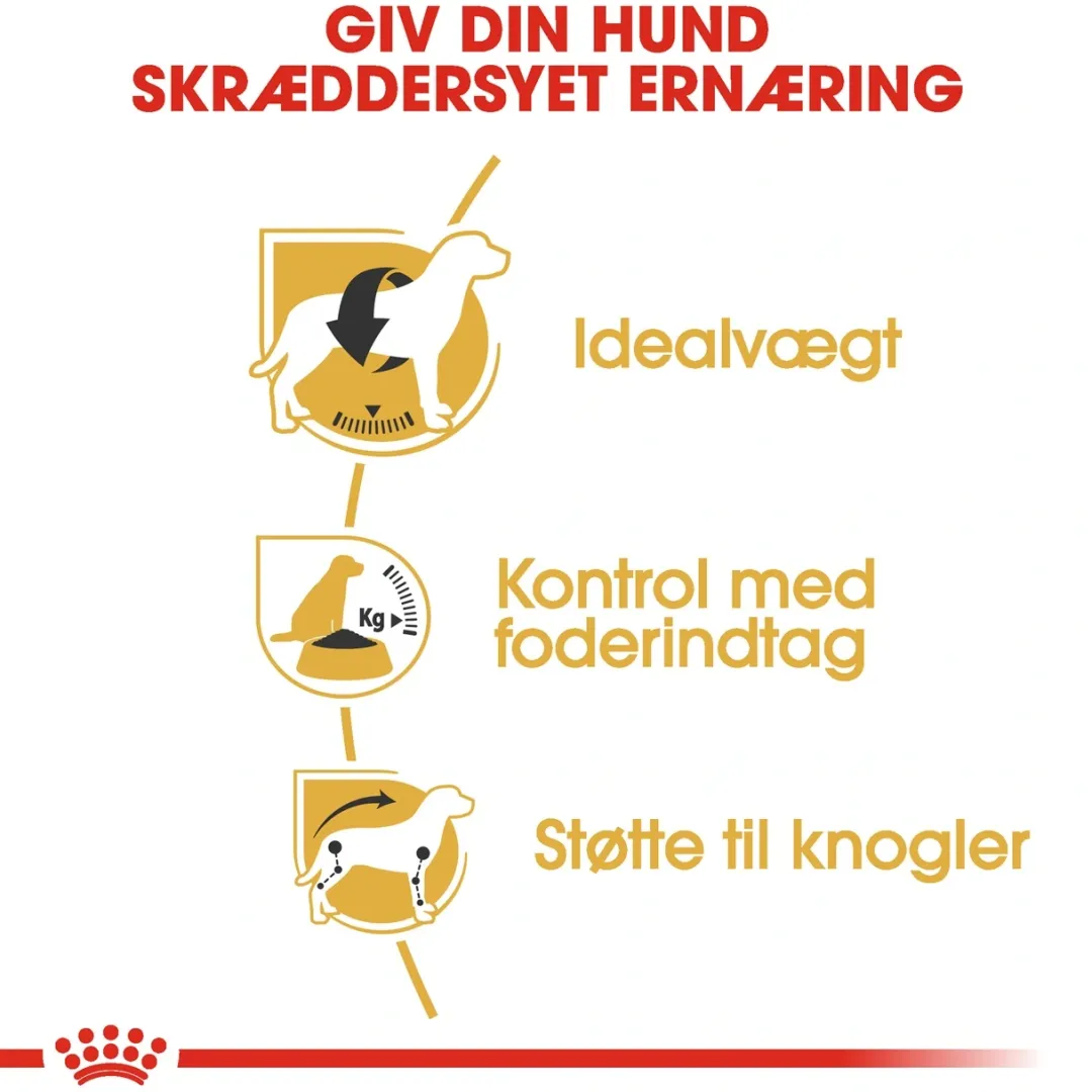 Royal Canin Hundefoder Royal Canin Beagle Adult 12 kg - tørfoder til voksne hunde