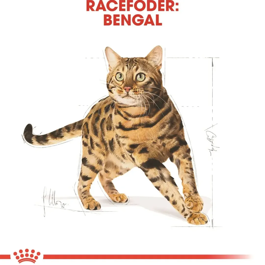 Royal Canin Kattefoder Royal Canin Bengal 2 kg Adult