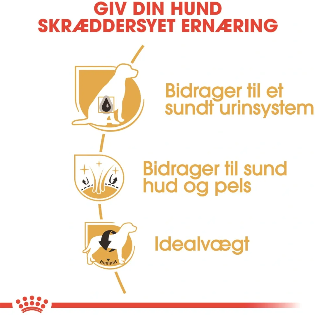 Royal Canin Hundefoder Royal Canin Bichon Frise Adult 1,5 kg - tørfoder til voksne hunde